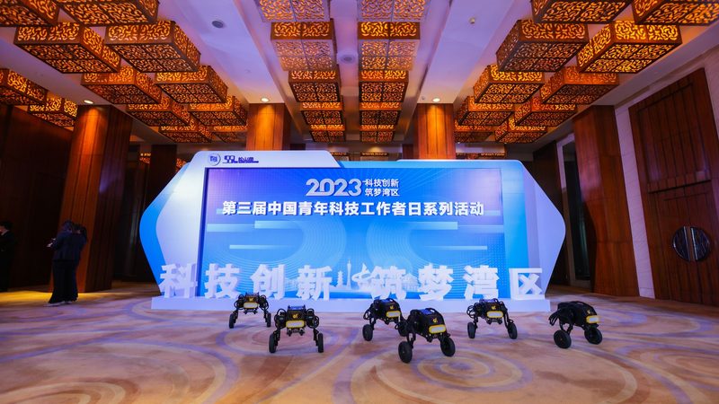 企业数字化人才供应商排名：揭秘数字化转型的核心驱动力